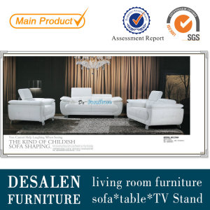 Living Room Leather Sofa in Home Furniture, Modern Sofa (C40)